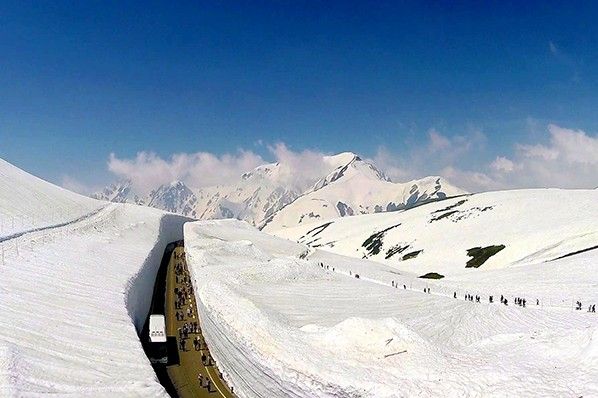 【立山黑部】富士芝櫻季5日．雙溫泉．酷航午去東京進出 