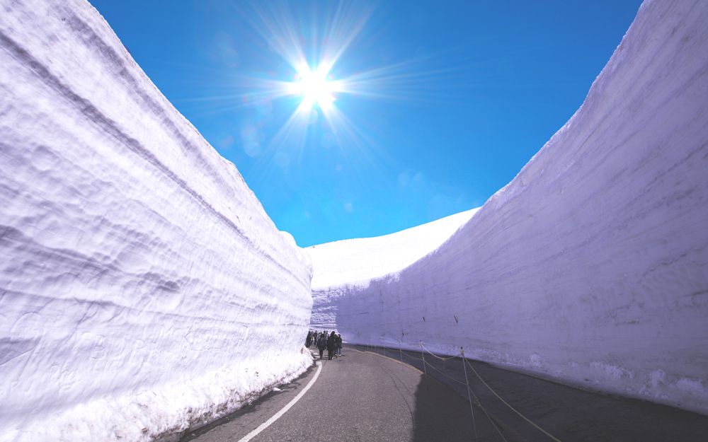 【立山黑部】富士芝櫻季5日．雙溫泉．酷航早去東京進出