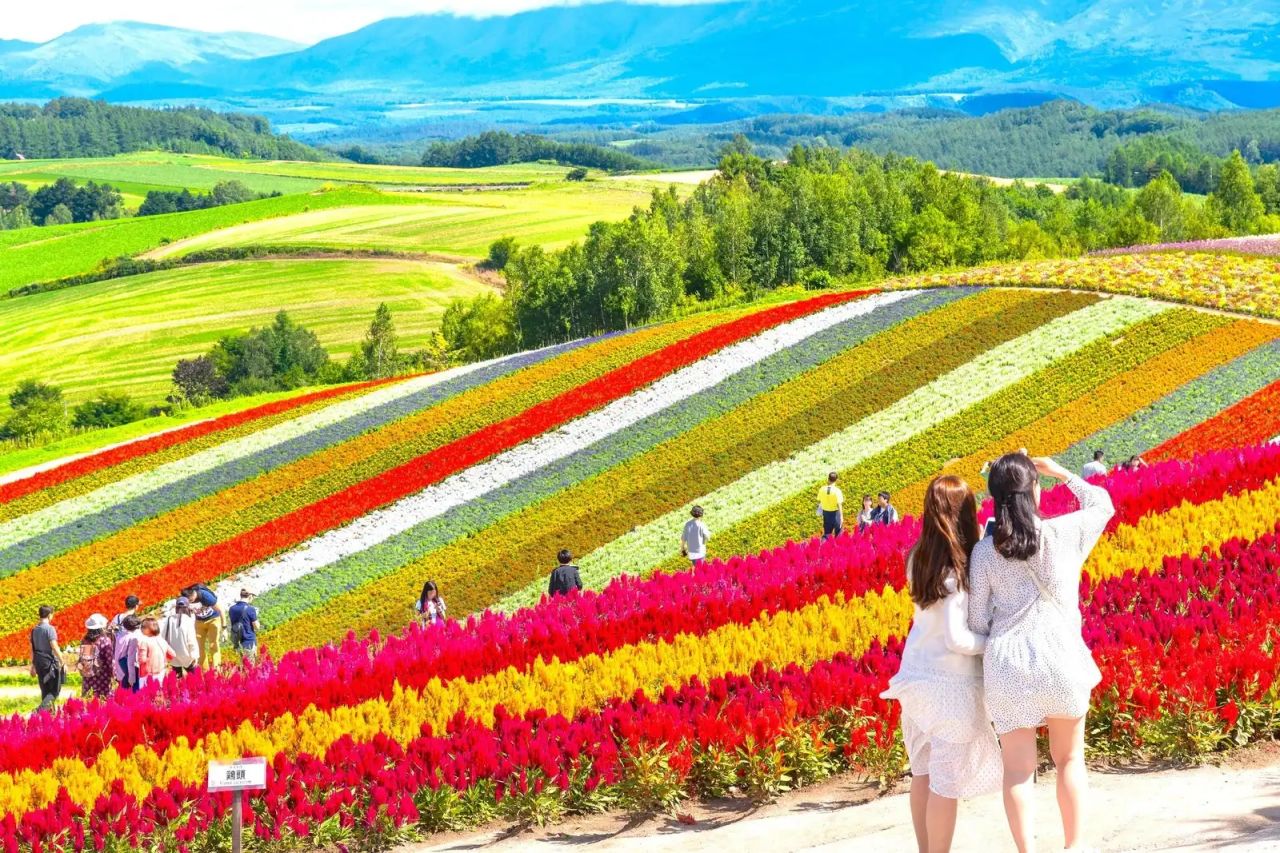 【富良野花田】北海道花田6日．哈密瓜吃到飽．洞爺湖花火節．洞爺湖溫泉面湖房．三大蟹自助吧．函館百萬夜景