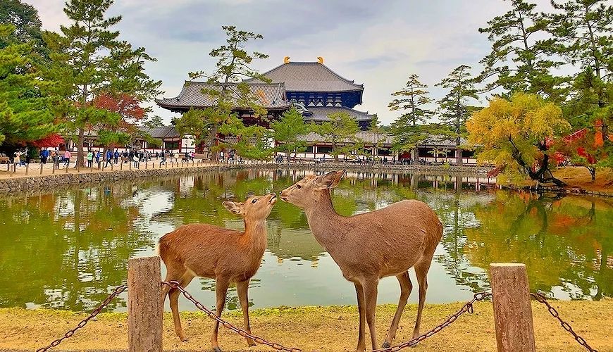【高雄出發】超值大阪+奈良半自助5日．心齋橋．八阪神社．通天閣．天王寺．大阪城．黑門市場．梅田商圈．春日大社．泰國亞洲航空